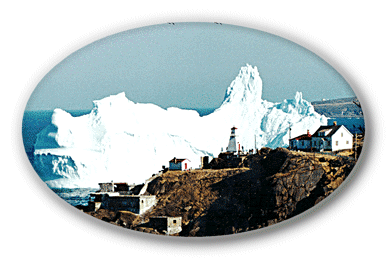 Iceberg