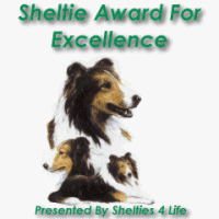 Abingdon Shelties