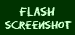 my flash project screenshot