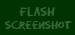 my flash project screenshot
