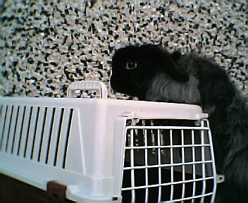 Hmm anything to eat up here...