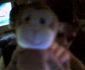 Mr. Nanners..Hey Lea..monkeys can lick too! LMAO