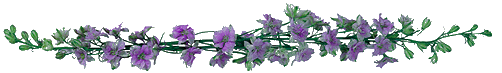 pentaclebar