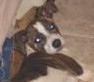 TOBY