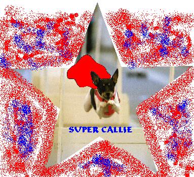 Super Callie