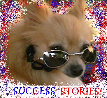 Happy Stories