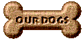 Our Petfinder Site
