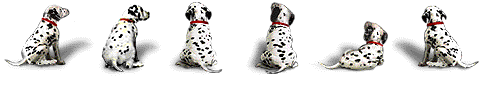 Cute Adoptees