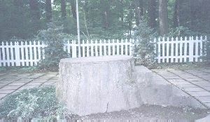Lily Dale's Inspiration Stump