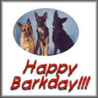Barkday.jpg (9674 bytes)
