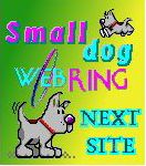Next Small Dog Ring