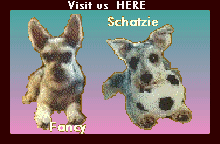 fanschat4g.gif (15807 bytes)
