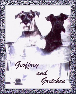 geoffreygretchen.jpg (16974 bytes)