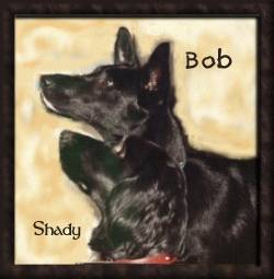 shbobshady.jpg (9989 bytes)