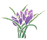 pflowers.gif (1244 bytes)