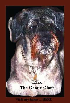 max2mtxsh.jpg (15216 bytes)