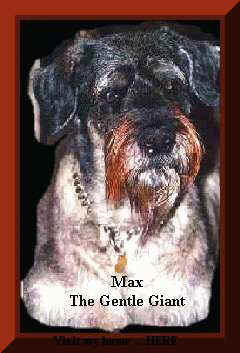max2mtxsh.jpg (15216 bytes)