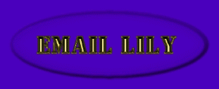 email.gif (15368 bytes)