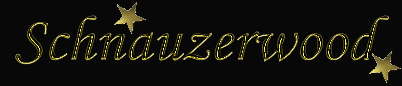 schnzw.gif (7313 bytes)