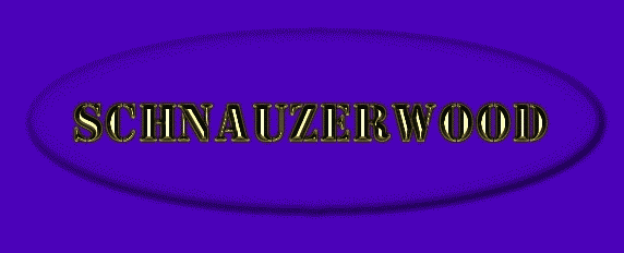 sschnzwld4.gif (12376 bytes)