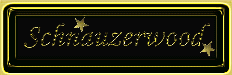 swslogo.gif (4778 bytes)