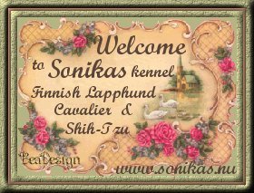 Sonikas Shih Tzu
