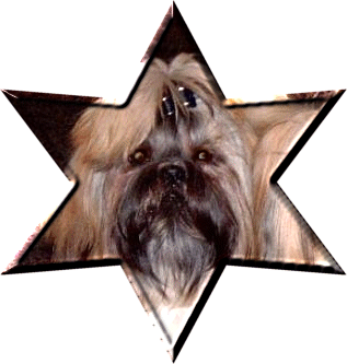 View me at 123Dog