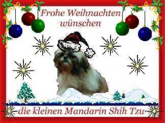 Vom Kleinen Mandarin Shih Tzu