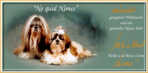 Ne quid Nimes Shih Tzu