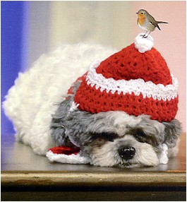 Christmas Card