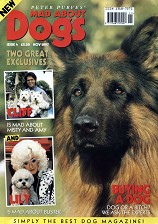 Mad About Dogs