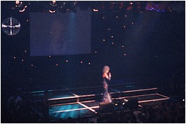 Lily Live