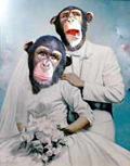 Wedding Photo
