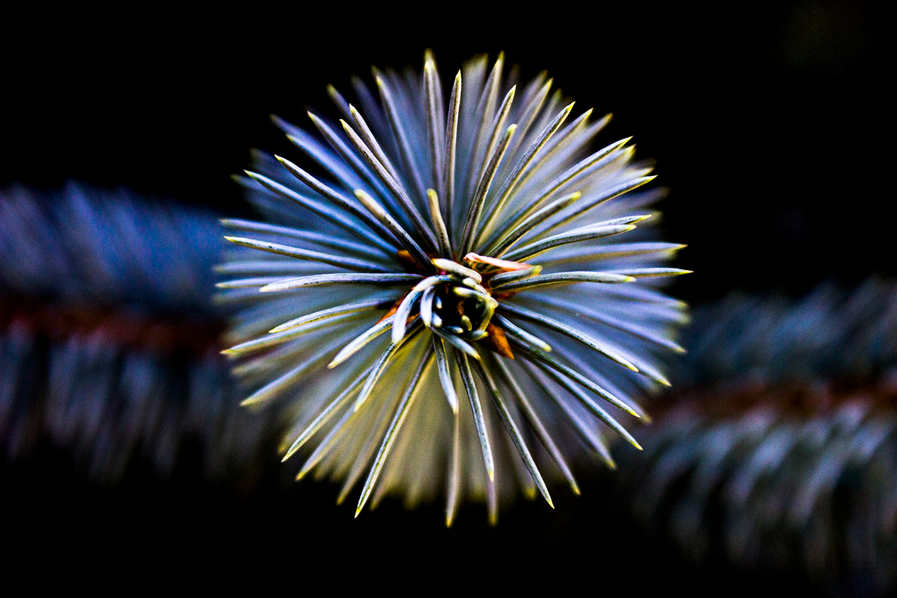 espiral