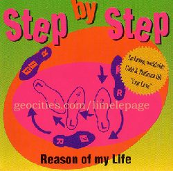  step by step lepage 