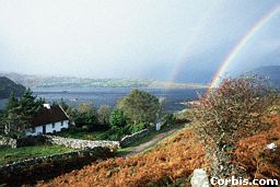 Livin' under the Rainbow