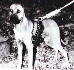 tudors ch frito.jpg (23702 bytes)