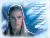 FAleiawall2.jpg (134397 byte)