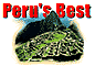 Peru Online