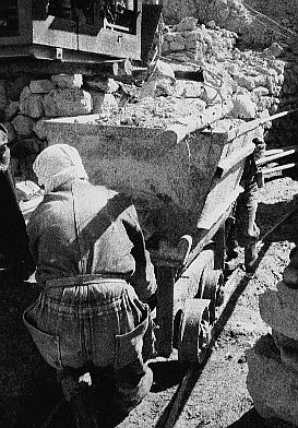 ... miners ...