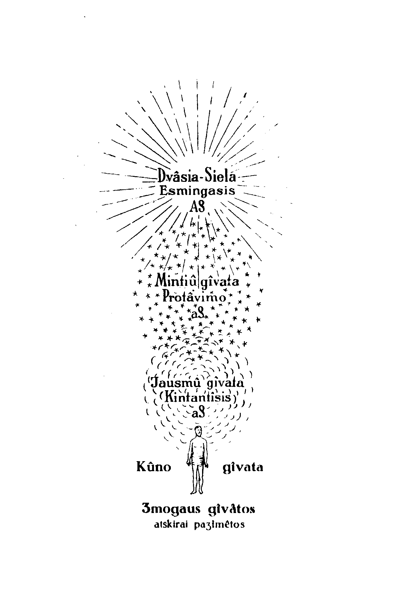 �mogaus gyvatos atskirai pa�ym�tos (tur�t� b�ti)