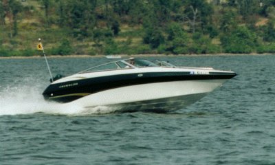 Shearwater