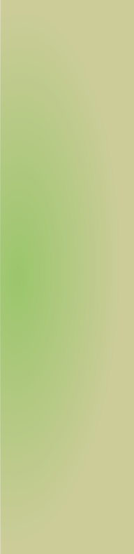 pp064698fb.png
