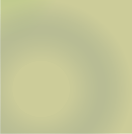 pp1ed50521.png