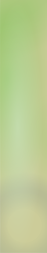 ppfc43e048.png