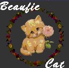 my nan made this for me(my dad nicked name me beaufie cat)