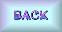 my dolphin graphics