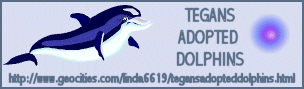 HAVE A LOOK AT THE HOME I MADE FOR MY ADOPTED DOLPHINS