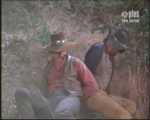 Posse127.jpg
37.96 KB 
