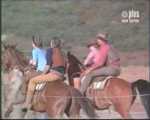 Posse186.jpg
297.75 KB 
